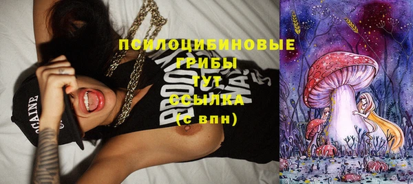 синтетический гашиш Медногорск