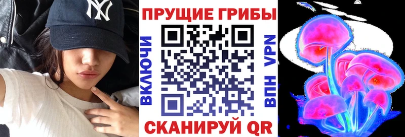 Галлюциногенные грибы Psilocybine cubensis Щёлкино